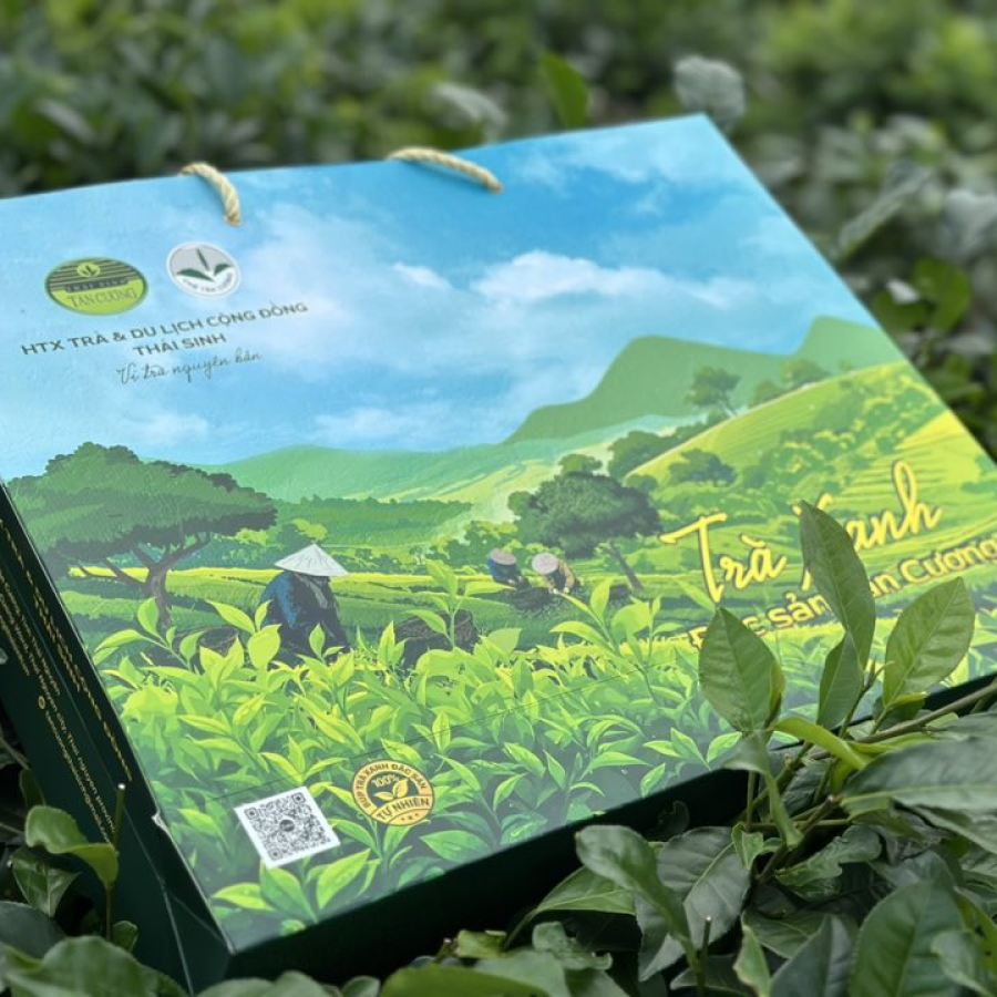 Trà nõn ông Thái