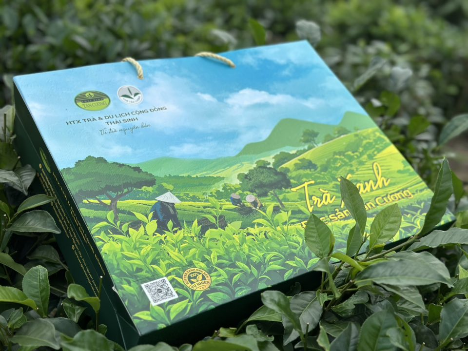 Trà nõn ông Thái